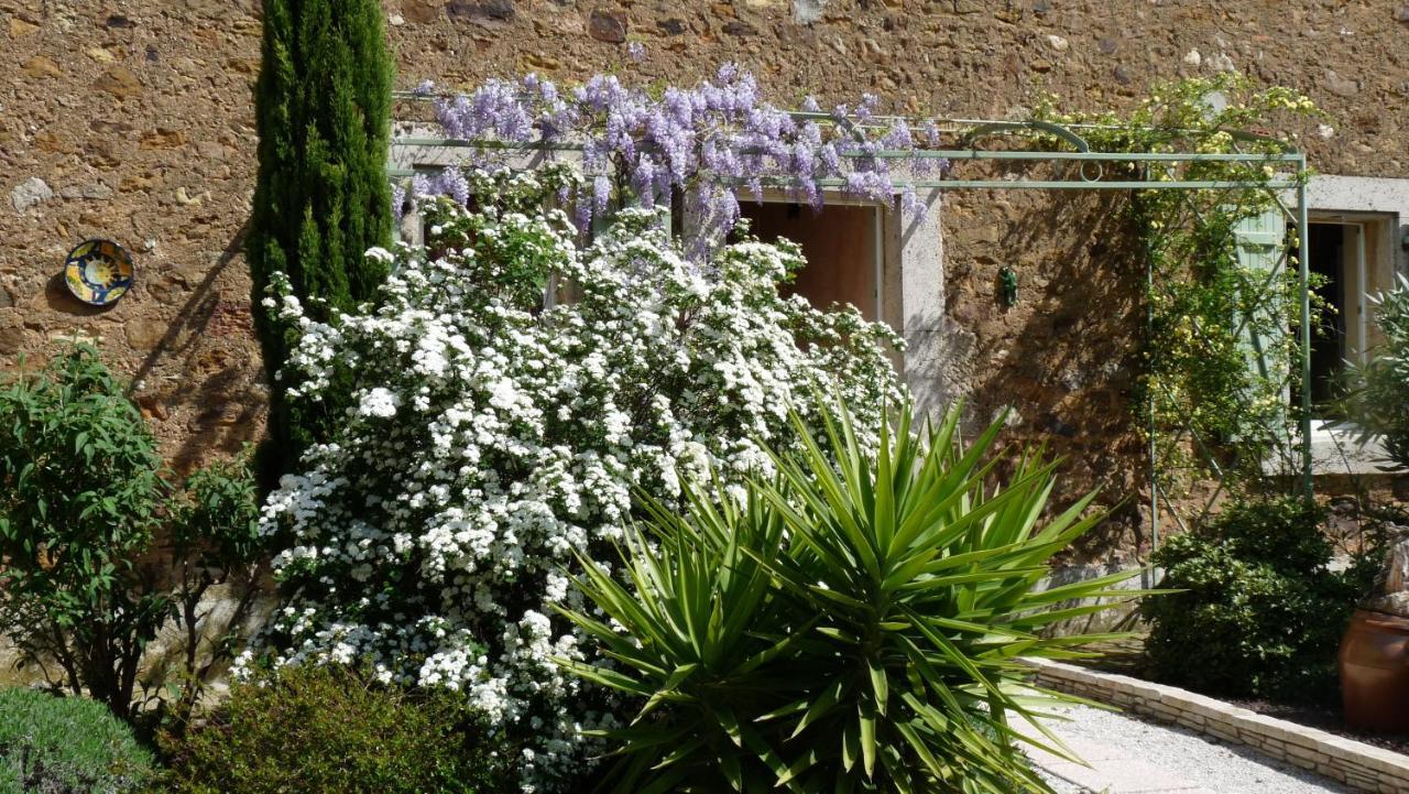Chambre D'Hotes Nature Et Saveurs 博腾纳克 外观 照片